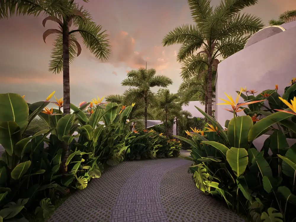 A palm-lined path glowing at sunset at LIMEANA
